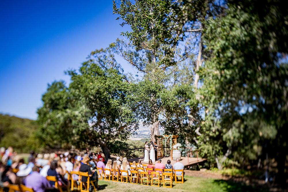 Queer SLO Weddings