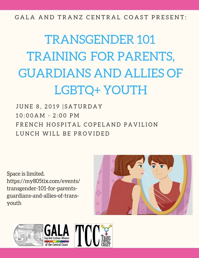 trans 101 poster